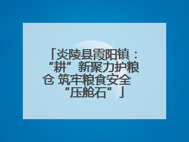 炎陵县霞阳镇：“耕”新聚力护粮仓 筑牢粮食安全“压舱石”