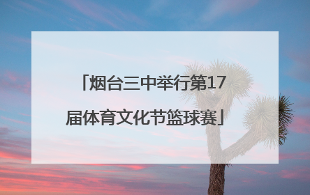 烟台三中举行第17届体育文化节篮球赛