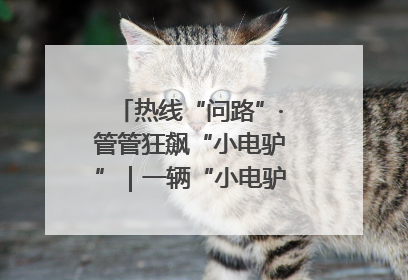 热线“问路”·管管狂飙“小电驴”｜一辆“小电驴”驮了五个娃