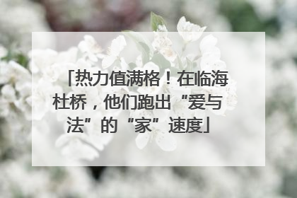 热力值满格！在临海杜桥，他们跑出“爱与法”的“家”速度