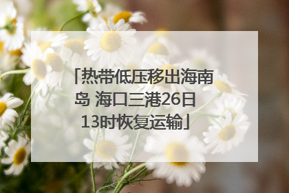 热带低压移出海南岛 海口三港26日13时恢复运输