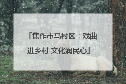 焦作市马村区：戏曲进乡村 文化润民心