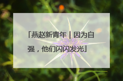 燕赵新青年｜因为自强，他们闪闪发光