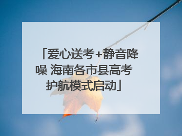 爱心送考+静音降噪 海南各市县高考护航模式启动
