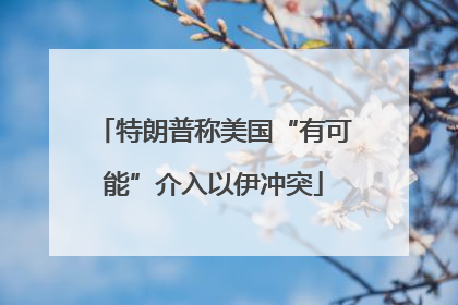 特朗普称美国“有可能”介入以伊冲突