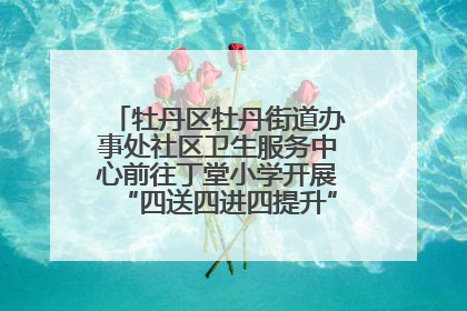 牡丹区牡丹街道办事处社区卫生服务中心前往丁堂小学开展“四送四进四提升”及无烟日宣传活动