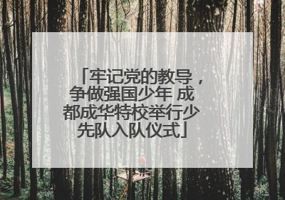 牢记党的教导，争做强国少年 成都成华特校举行少先队入队仪式