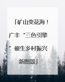 矿山变花海！广丰“三色引擎”催生乡村振兴新图景