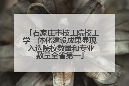 石家庄市技工院校工学一体化建设成果显现 入选院校数量和专业数量全省第一