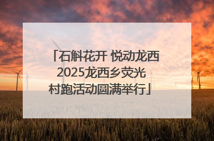 石斛花开 悦动龙西 2025龙西乡荧光村跑活动圆满举行