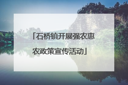 石桥镇开展强农惠农政策宣传活动