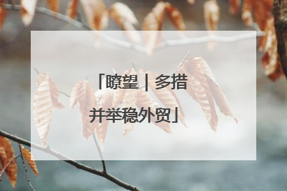 瞭望｜多措并举稳外贸