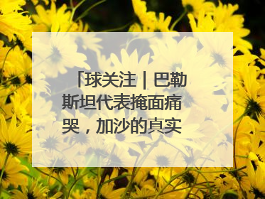 球关注｜巴勒斯坦代表掩面痛哭，加沙的真实现状让人痛心