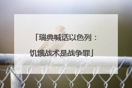 瑞典喊话以色列：饥饿战术是战争罪