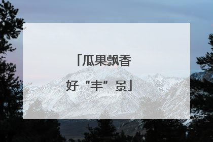 瓜果飘香 好“丰”景