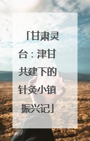 甘肃灵台：津甘共建下的针灸小镇振兴记