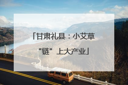 甘肃礼县：小艾草“链”上大产业
