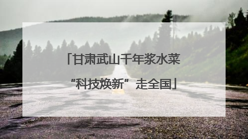 甘肃武山千年浆水菜“科技焕新”走全国