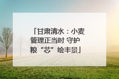 甘肃清水：小麦管理正当时 守护粮“芯”绘丰景