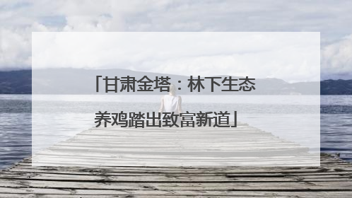 甘肃金塔：林下生态养鸡踏出致富新道