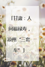 甘肃：人间福禄寿，凉州“三套车”