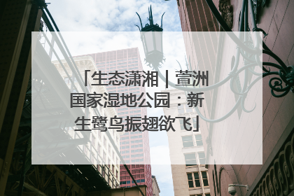生态潇湘｜萱洲国家湿地公园：新生鹭鸟振翅欲飞