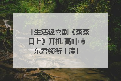 生活轻喜剧《蒸蒸日上》开机 高叶韩东君领衔主演