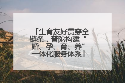 生育友好贯穿全链条，普陀构建“婚、孕、育、养”一体化服务体系