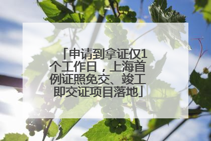 申请到拿证仅1个工作日，上海首例证照免交、竣工即交证项目落地