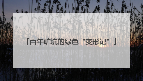 百年矿坑的绿色“变形记”