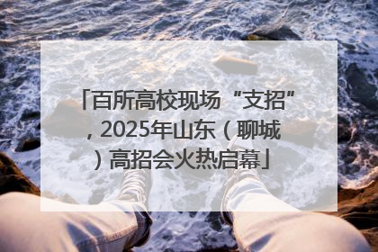 百所高校现场“支招”，2025年山东（聊城）高招会火热启幕