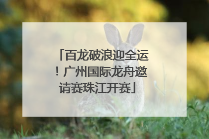 百龙破浪迎全运！广州国际龙舟邀请赛珠江开赛