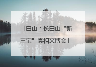 白山：长白山“新三宝”亮相文博会
