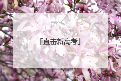 直击新高考