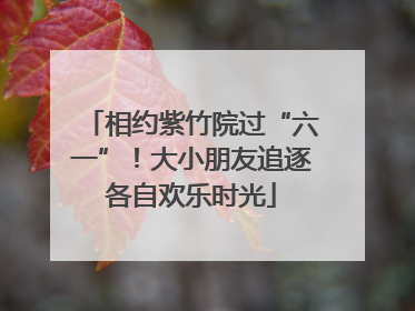 相约紫竹院过“六一”！大小朋友追逐各自欢乐时光