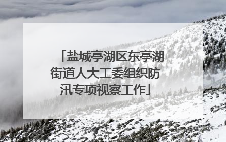 盐城亭湖区东亭湖街道人大工委组织防汛专项视察工作