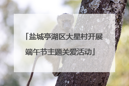盐城亭湖区大星村开展端午节主题关爱活动