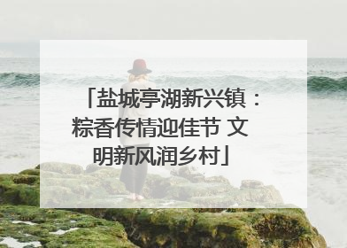 盐城亭湖新兴镇：粽香传情迎佳节 文明新风润乡村