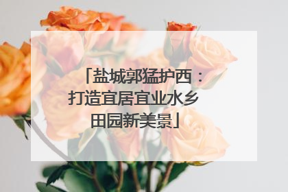 盐城郭猛护西：打造宜居宜业水乡田园新美景