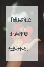 盛夏将至 北京市集热辣开场