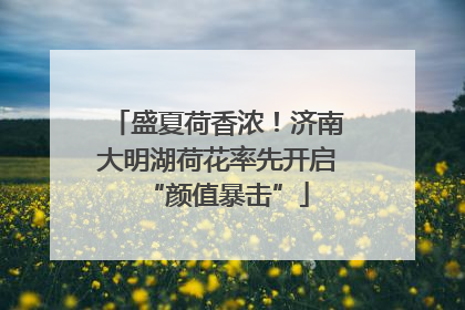 盛夏荷香浓！济南大明湖荷花率先开启“颜值暴击”