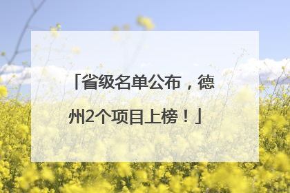 省级名单公布，德州2个项目上榜！