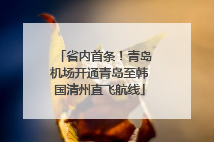 省内首条！青岛机场开通青岛至韩国清州直飞航线