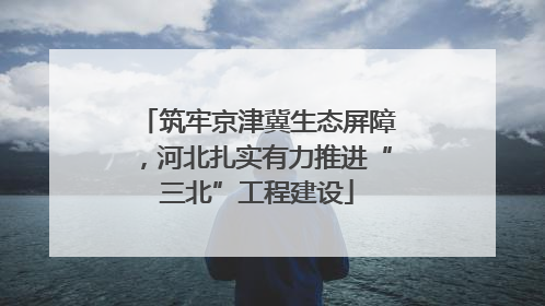 筑牢京津冀生态屏障，河北扎实有力推进“三北”工程建设