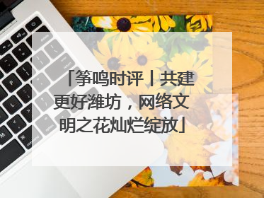 筝鸣时评丨共建更好潍坊，网络文明之花灿烂绽放