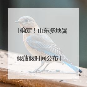确定！山东多地暑假放假时间公布