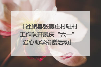 社旗县张腰庄村驻村工作队开展庆“六一”爱心助学捐赠活动