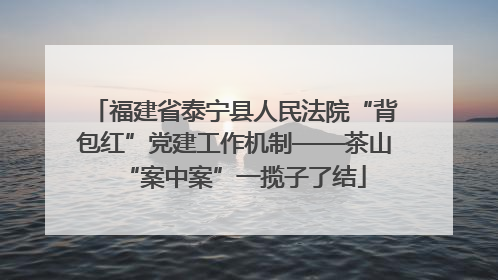 福建省泰宁县人民法院“背包红”党建工作机制——茶山“案中案”一揽子了结