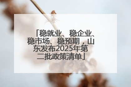 稳就业、稳企业、稳市场、稳预期，山东发布2025年第二批政策清单