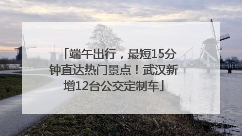 端午出行，最短15分钟直达热门景点！武汉新增12台公交定制车
